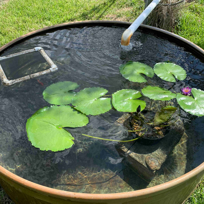 Water tank submersible well pump