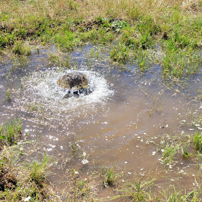 Submersible Well Pump