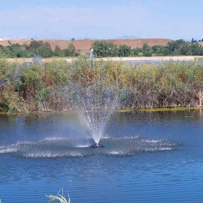 Floating Pond Fountain Pump 10-20ft Height | Large Pond Aerator  | Fish Safe | DIY Friendly | 110 or 220V AC Single Phase Dual Power